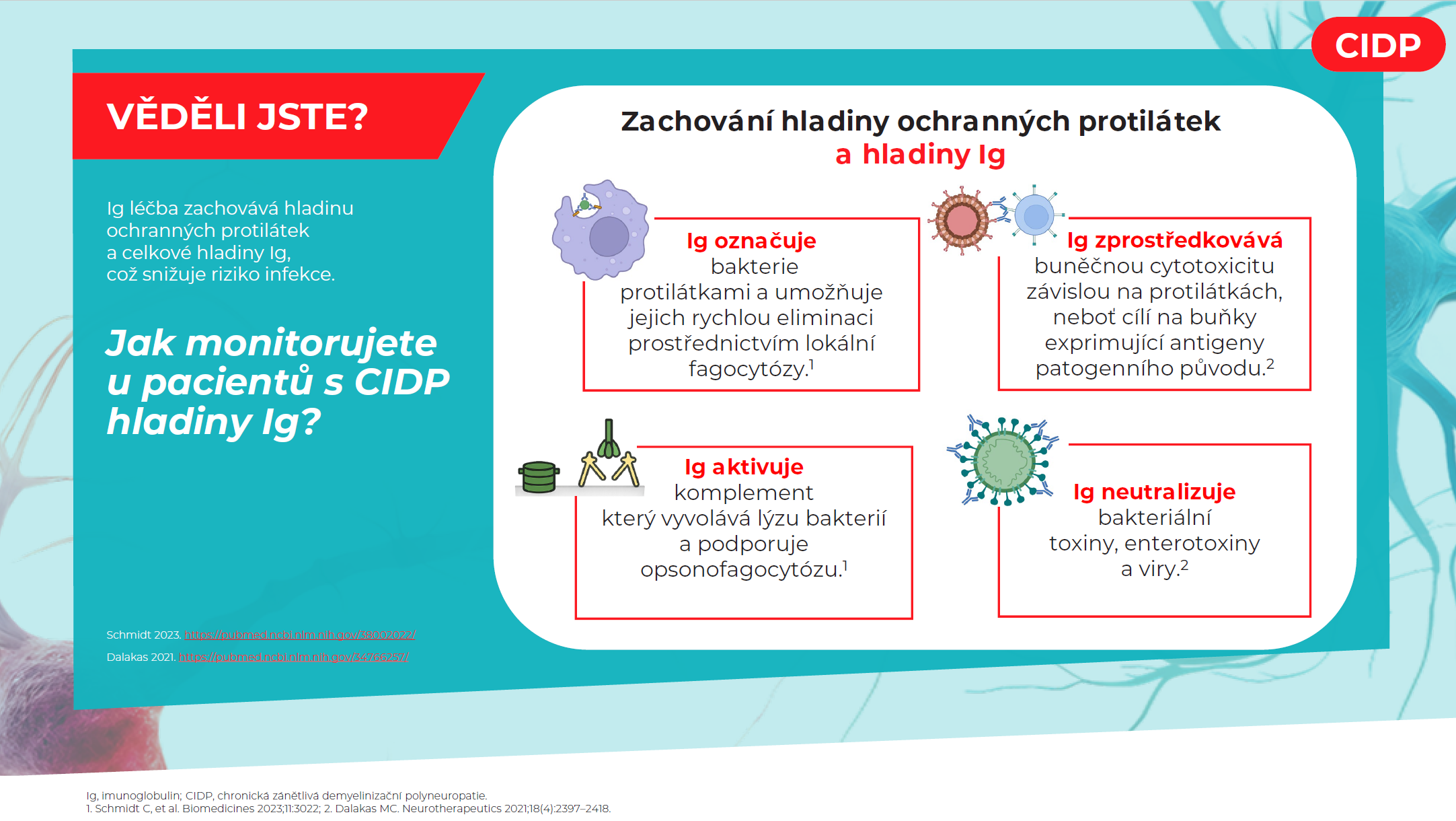 CIDP infografika – květen 2026